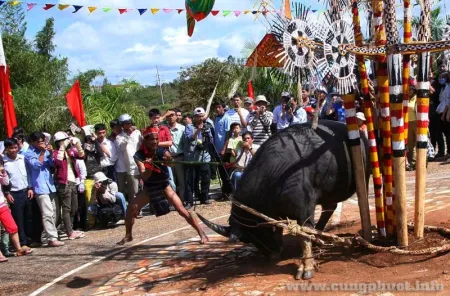 Nghiên cứu sự tác động của kinh tế thị trường vào lễ hội tín ngưỡng của người Ê Đê ở Đắk Lắk